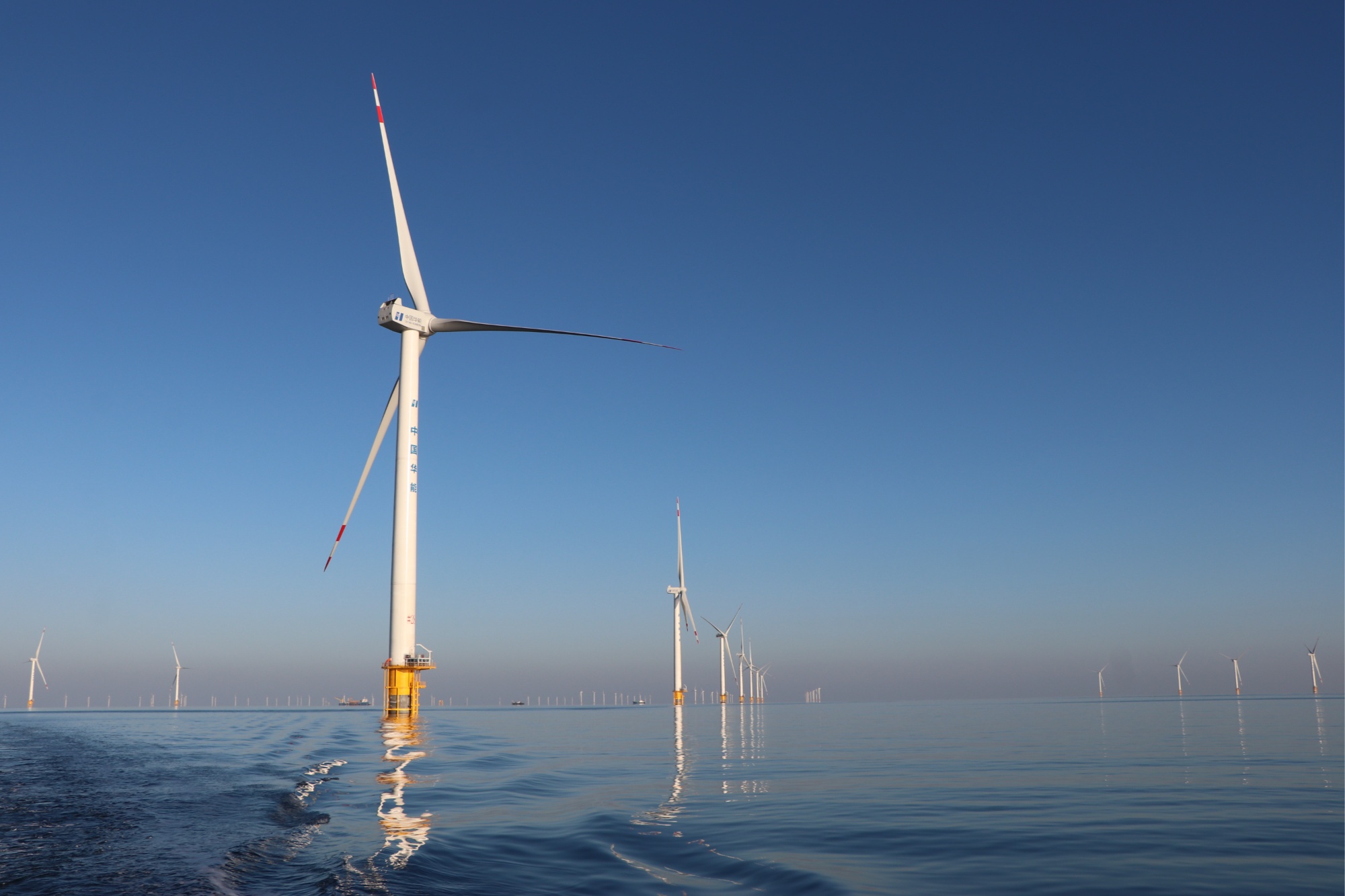 庄河市：“绿蓝金”三色经济绘就发展新画卷(图1)