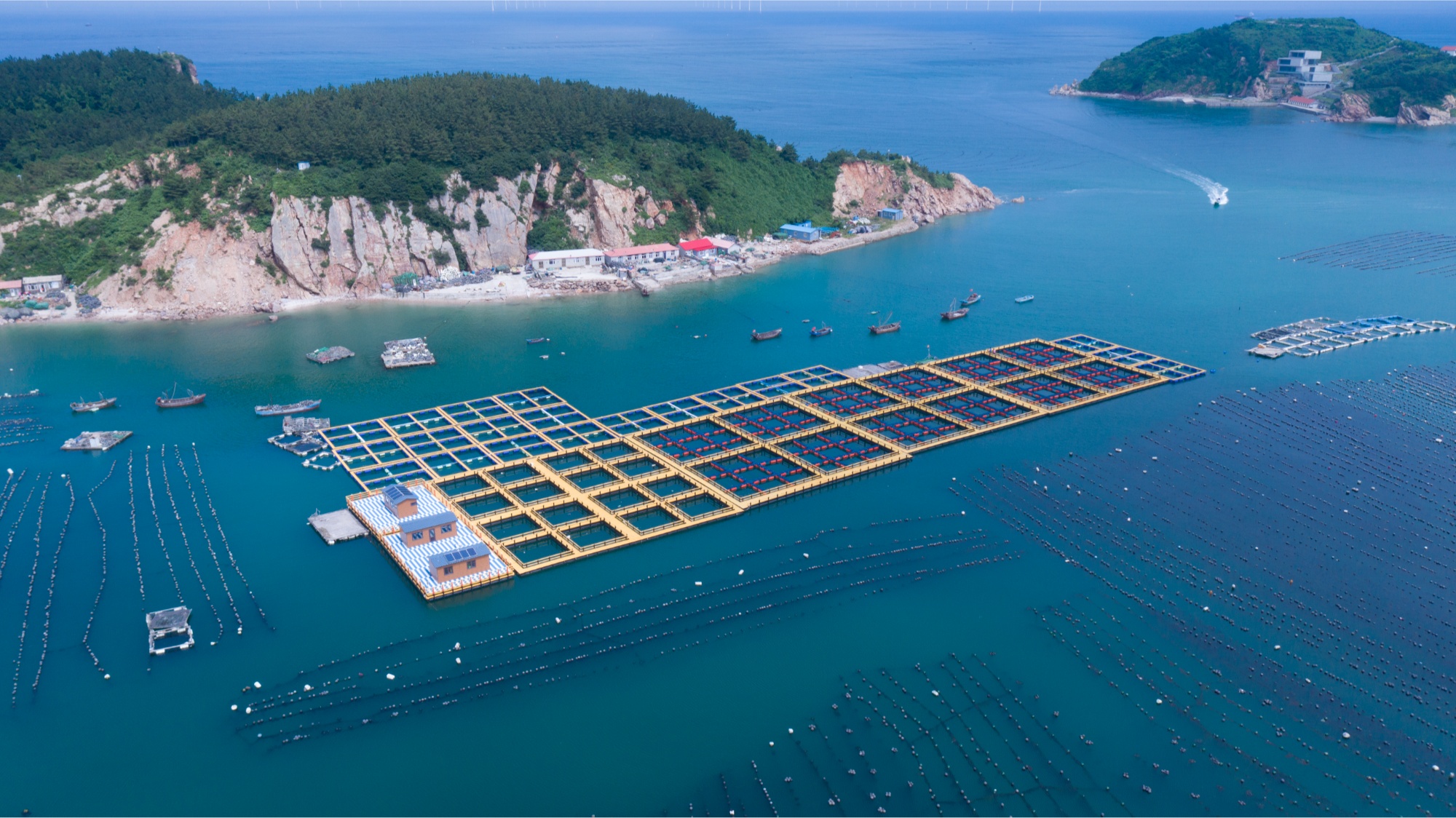 庄河市：“绿蓝金”三色经济绘就发展新画卷(图2)