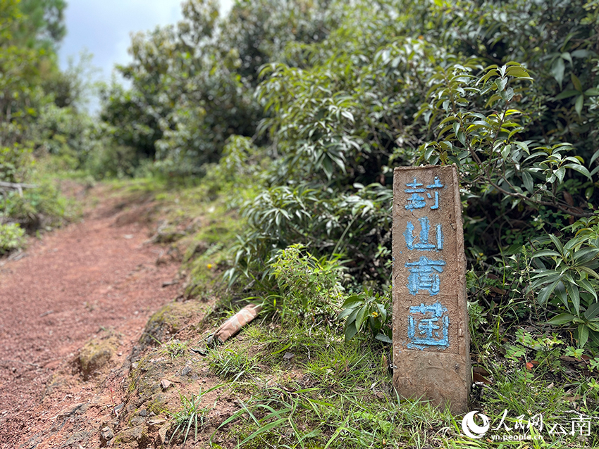 “两山理念”的南华答卷(图2)