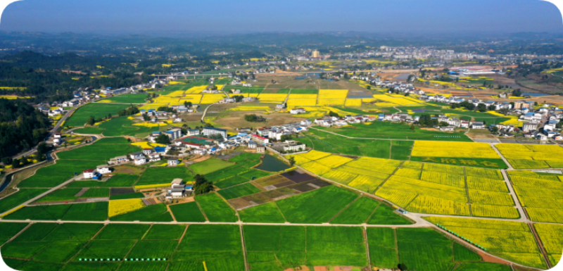 深耕“三农”粮安民富——南充市“十四五”时期农业农村发展综述(图1)