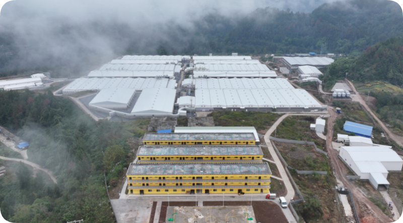 深耕“三农”粮安民富——南充市“十四五”时期农业农村发展综述(图3)