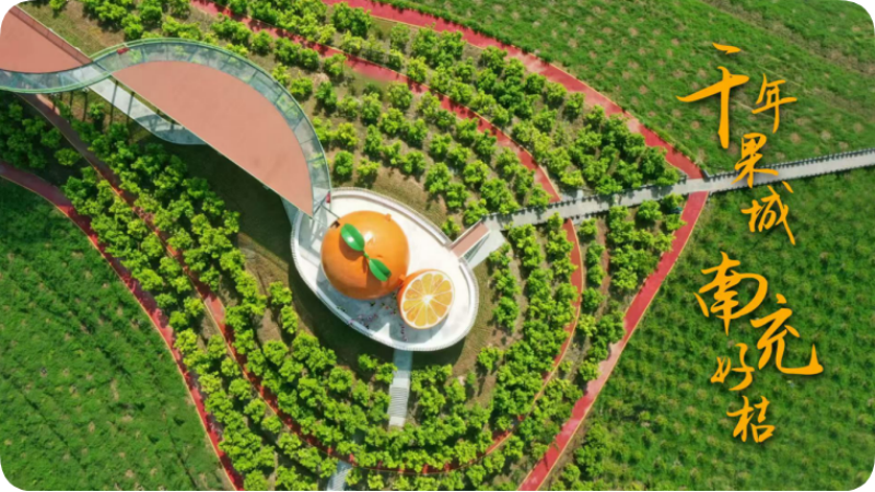 深耕“三农”粮安民富——南充市“十四五”时期农业农村发展综述(图6)