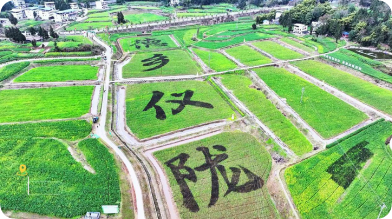 深耕“三农”粮安民富——南充市“十四五”时期农业农村发展综述(图7)