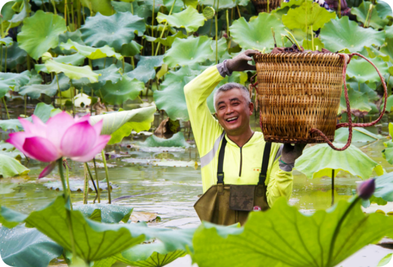 深耕“三农”粮安民富——南充市“十四五”时期农业农村发展综述(图9)