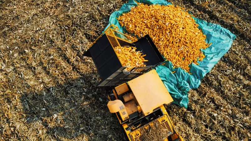 吉林：184万新型农业经营主体基本实现乡村全覆盖(图2)