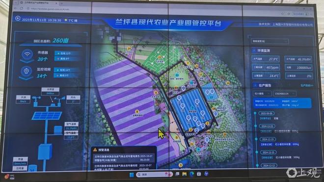 兰坪县：高原特色现代农业成“共富引擎”(图2)