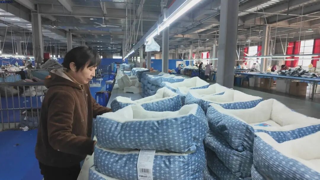 抢滩宠物经济新赛道宿州“宠”力十足(图2)