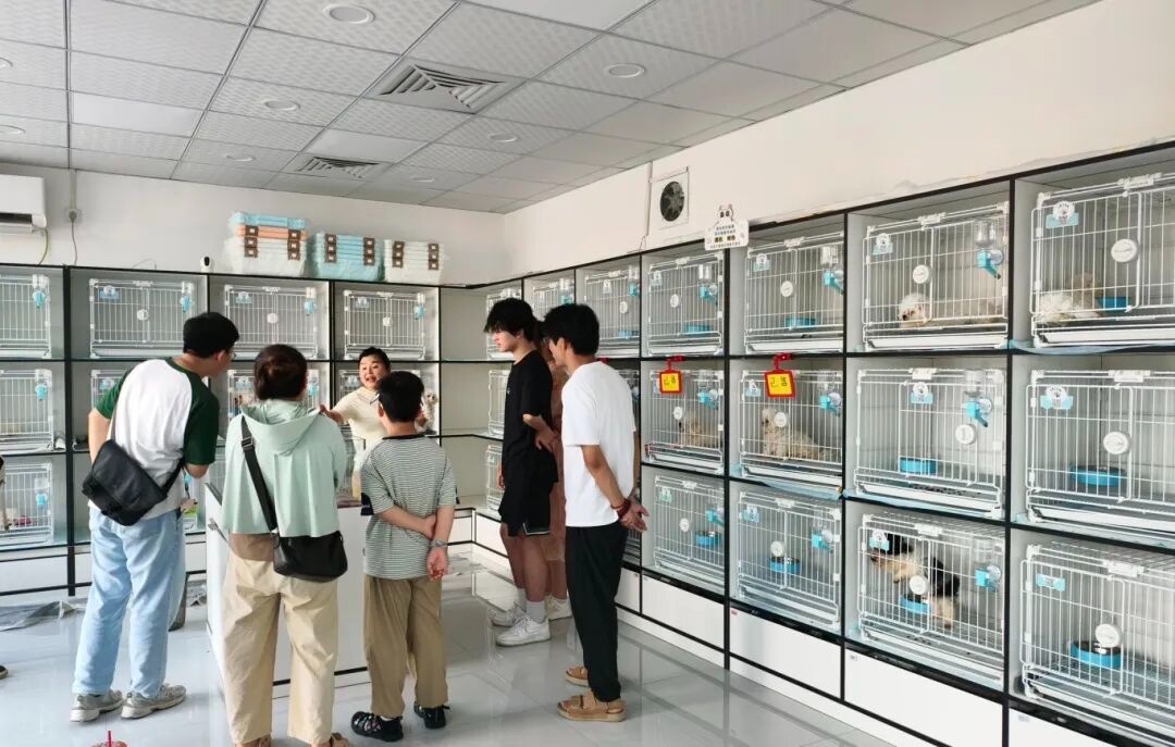 抢滩宠物经济新赛道宿州“宠”力十足(图3)