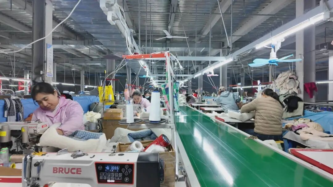 抢滩宠物经济新赛道宿州“宠”力十足(图1)