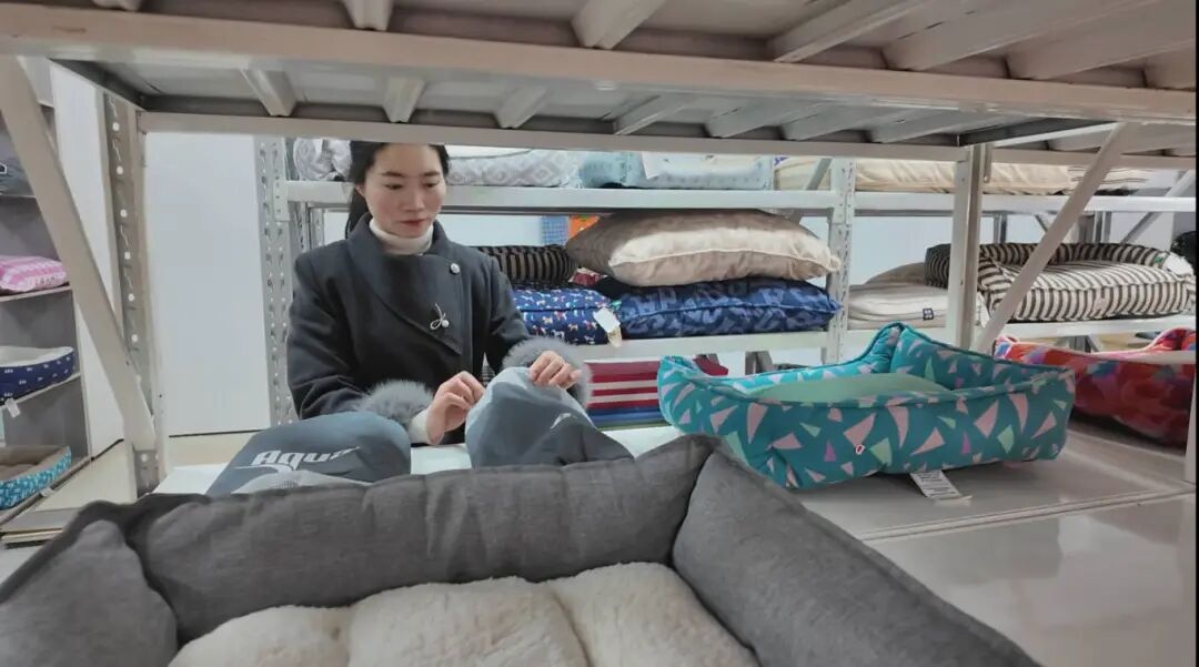 抢滩宠物经济新赛道宿州“宠”力十足(图5)