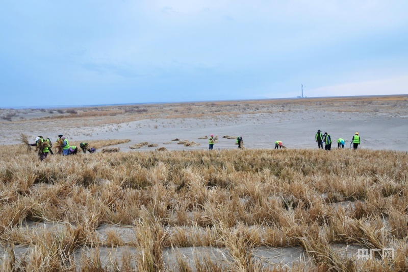 【“十四五”战略叠加下的酒泉奋进②】荒漠上的绿色奇迹(图3)