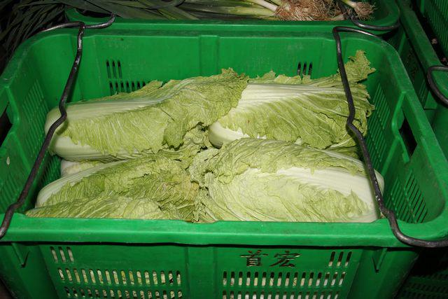 学校蔬菜配送:从农残担忧到安心备餐2025年10月学校(图1)