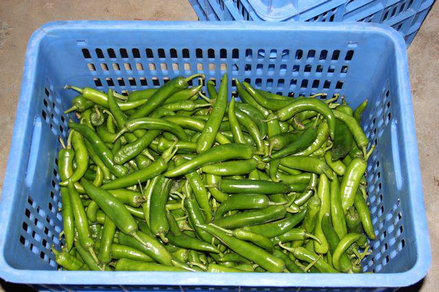 学校蔬菜配送:从农残担忧到安心备餐2025年10月学校(图2)