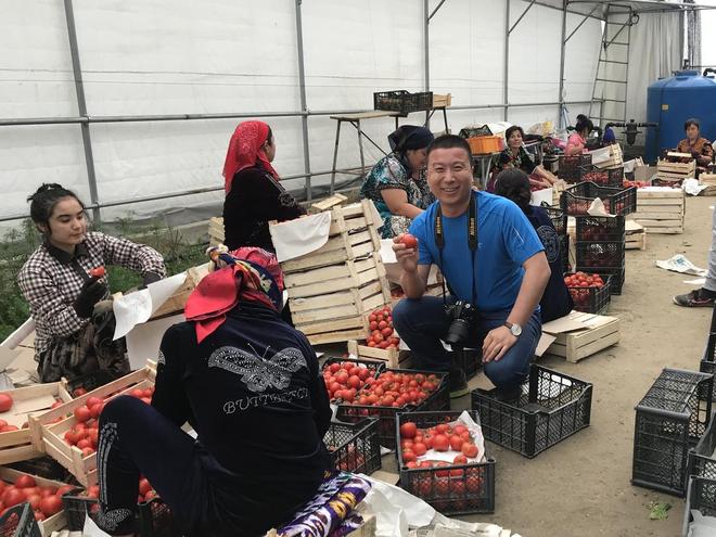 乘“新”而上大棚开到40多国一家农企的出海答卷(图3)