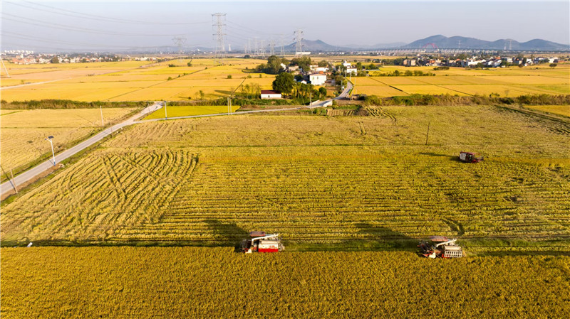 共富路上合肥庐江的“幸福账本”(图3)