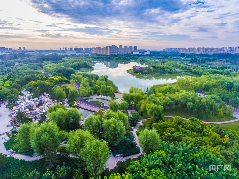 决胜“十四五”奋进新征程丨解码高碑店高质量发展的蝶变密码(图6)