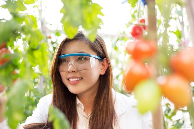 2026年农业强国施工图曝光！七项任务颠覆你我饮食！(图3)