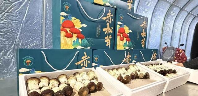 “教授农场”种出新鲜赤松茸(图2)