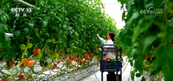 九部门20条举措推进绿色消费涵盖农产品、家电家装、餐饮住宿等多领域(图3)