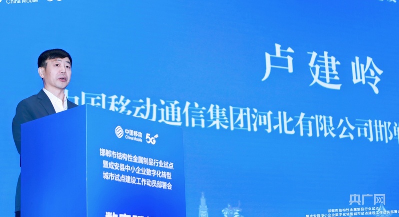 激活产业集群“数字基因”！邯郸成安中小企业数字化转型试点城市启动(图4)