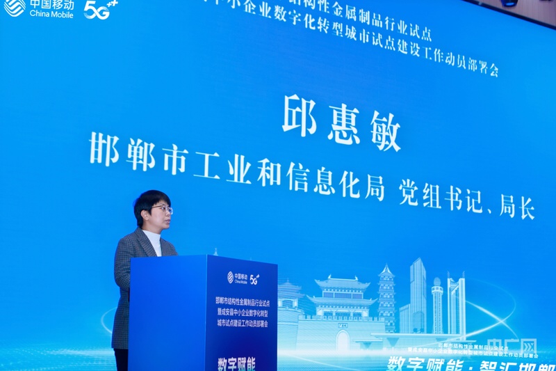 激活产业集群“数字基因”！邯郸成安中小企业数字化转型试点城市启动(图1)