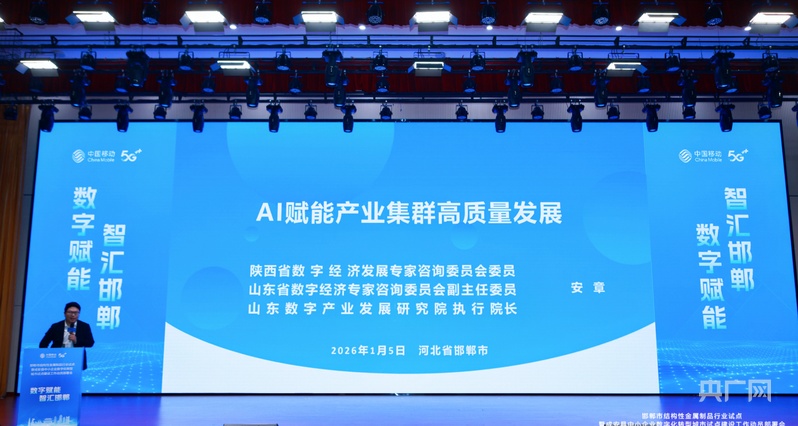 激活产业集群“数字基因”！邯郸成安中小企业数字化转型试点城市启动(图3)