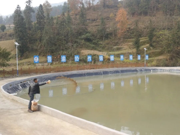 从山海相连到心手相牵聊彭协作让帮扶之约化作振兴实效(图2)