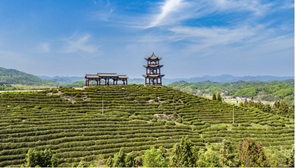 从“山水画卷”到“共富实景”:襄阳谷城文旅赋能乡村振兴的破局之路(图5)