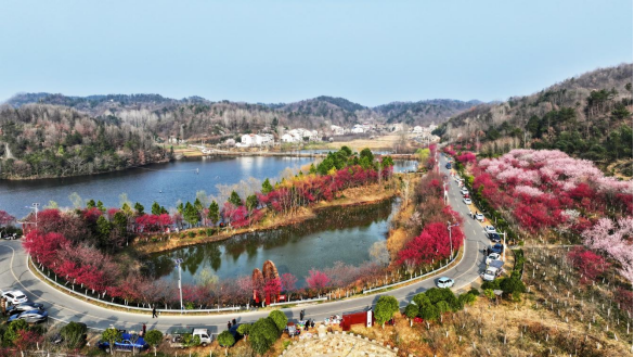 从“山水画卷”到“共富实景”:襄阳谷城文旅赋能乡村振兴的破局之路(图7)