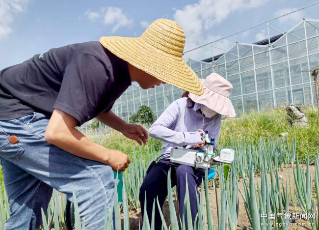 西宁气象助力打造高原“菜篮子”——气候“凉资源”产业“热动能”(图1)