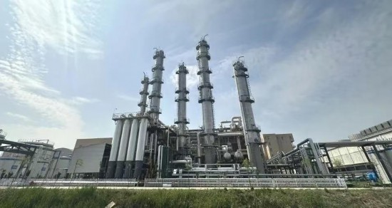 好粮有网上新季一粒小麦的“裂变”密码:解码中裕食品创新基因(图3)