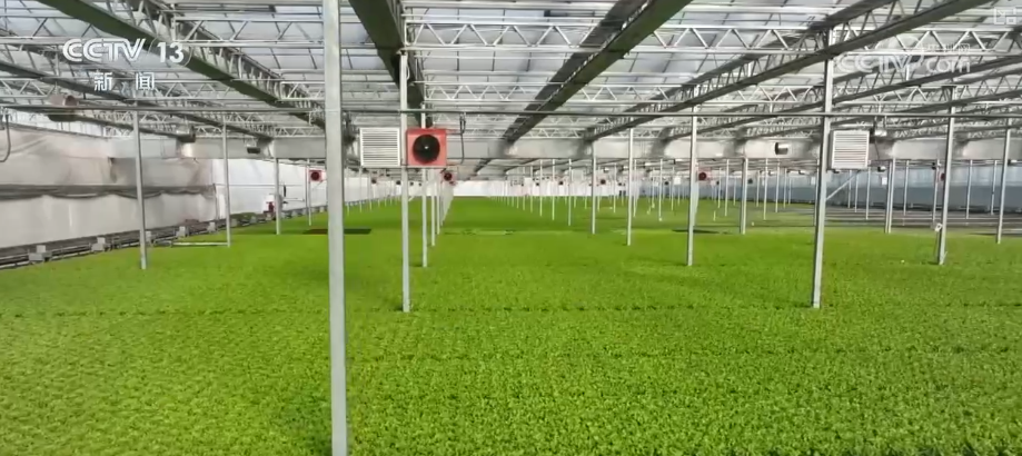 新需求、新供给“绿”意盎然多部门协同创新政策“组合拳”为绿色消费添动力(图18)