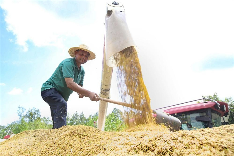 广元：“十四五”期间全市农村居民人均可支配收入增速多次跑赢全国、全省平均水平(图1)