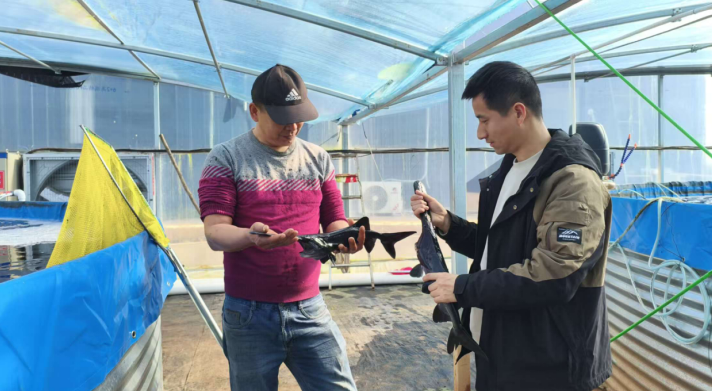 九姑乡：“美颜”又“强筋”绘就和美乡村新画卷(图3)