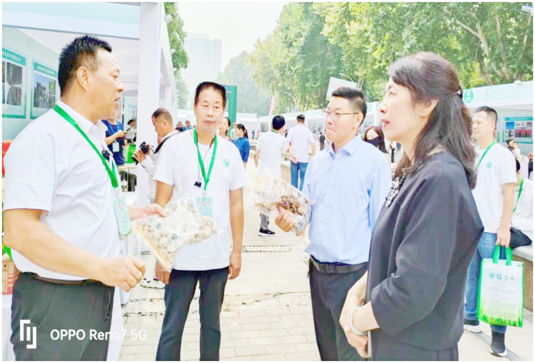 2024年河南省绿色食品主题宣传对接活动在郑州成功举办(图4)