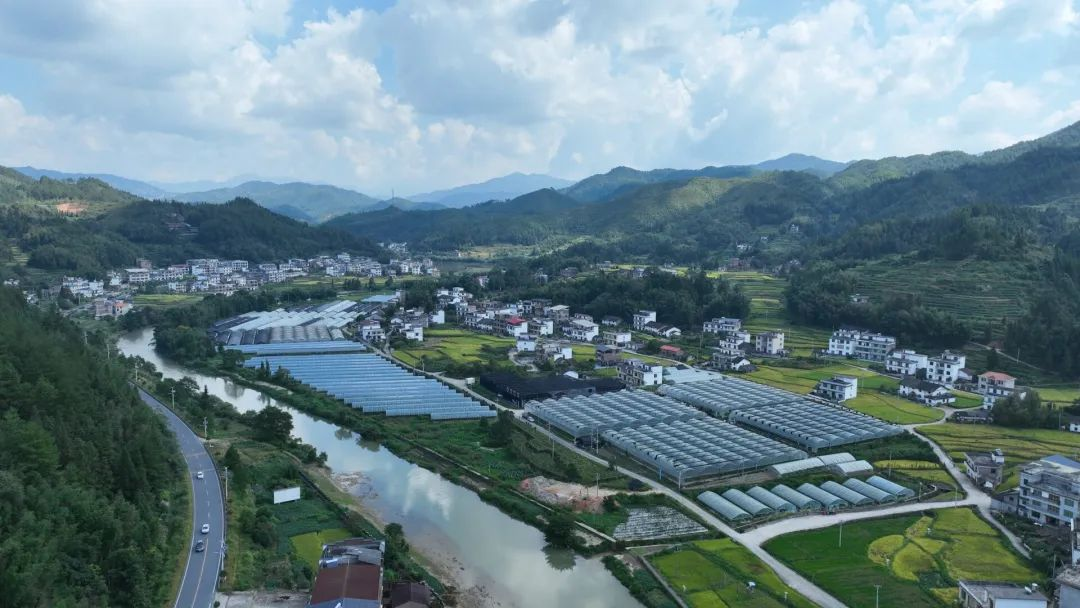 湖南桂东：高山蔬菜铺就乡村振兴绿美之路(图2)