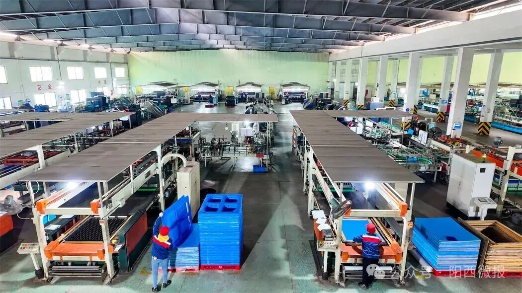 非凡“十四五”：推动健康食品产业成群成链发展赋能县域经济高质量发展(图9)