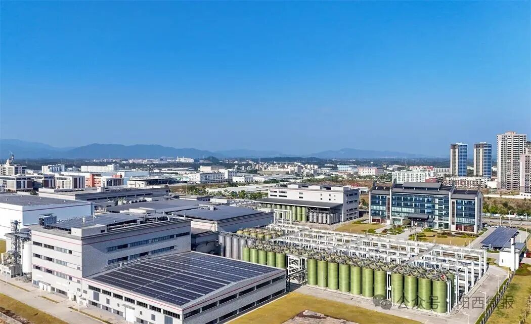 非凡“十四五”：推动健康食品产业成群成链发展赋能县域经济高质量发展(图8)