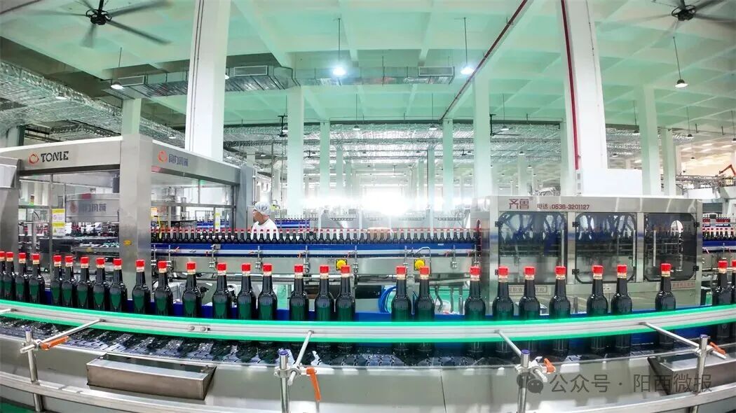 非凡“十四五”：推动健康食品产业成群成链发展赋能县域经济高质量发展(图3)