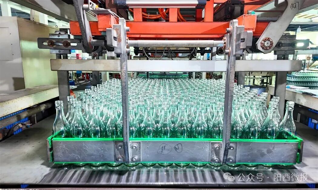 非凡“十四五”：推动健康食品产业成群成链发展赋能县域经济高质量发展(图6)