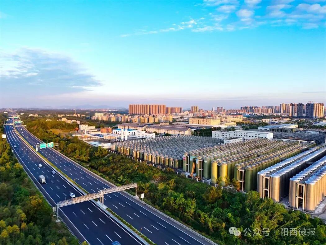 非凡“十四五”：推动健康食品产业成群成链发展赋能县域经济高质量发展(图12)