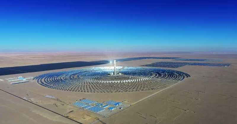 向“新”而行“青”力而为(图2)