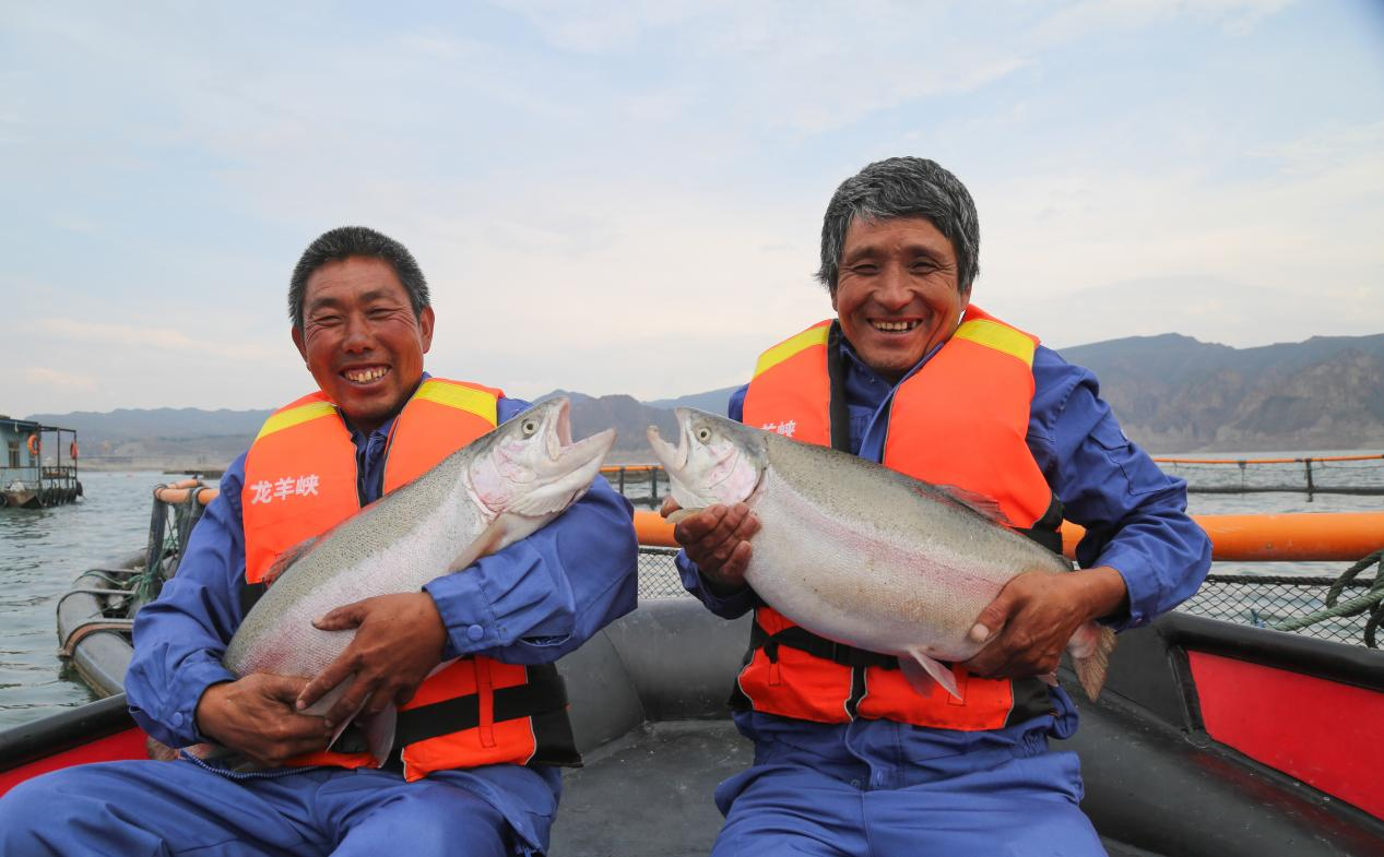 向“新”而行“青”力而为(图4)