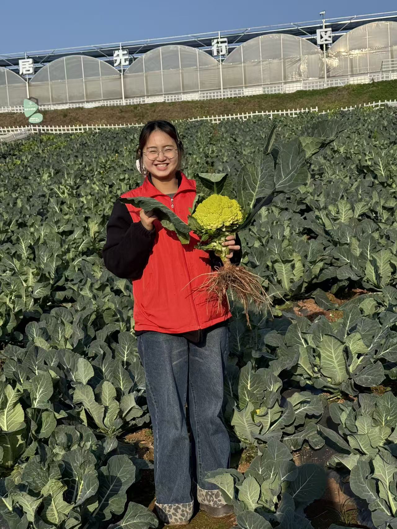 天府新农人㊸“00”后种菜班(图1)