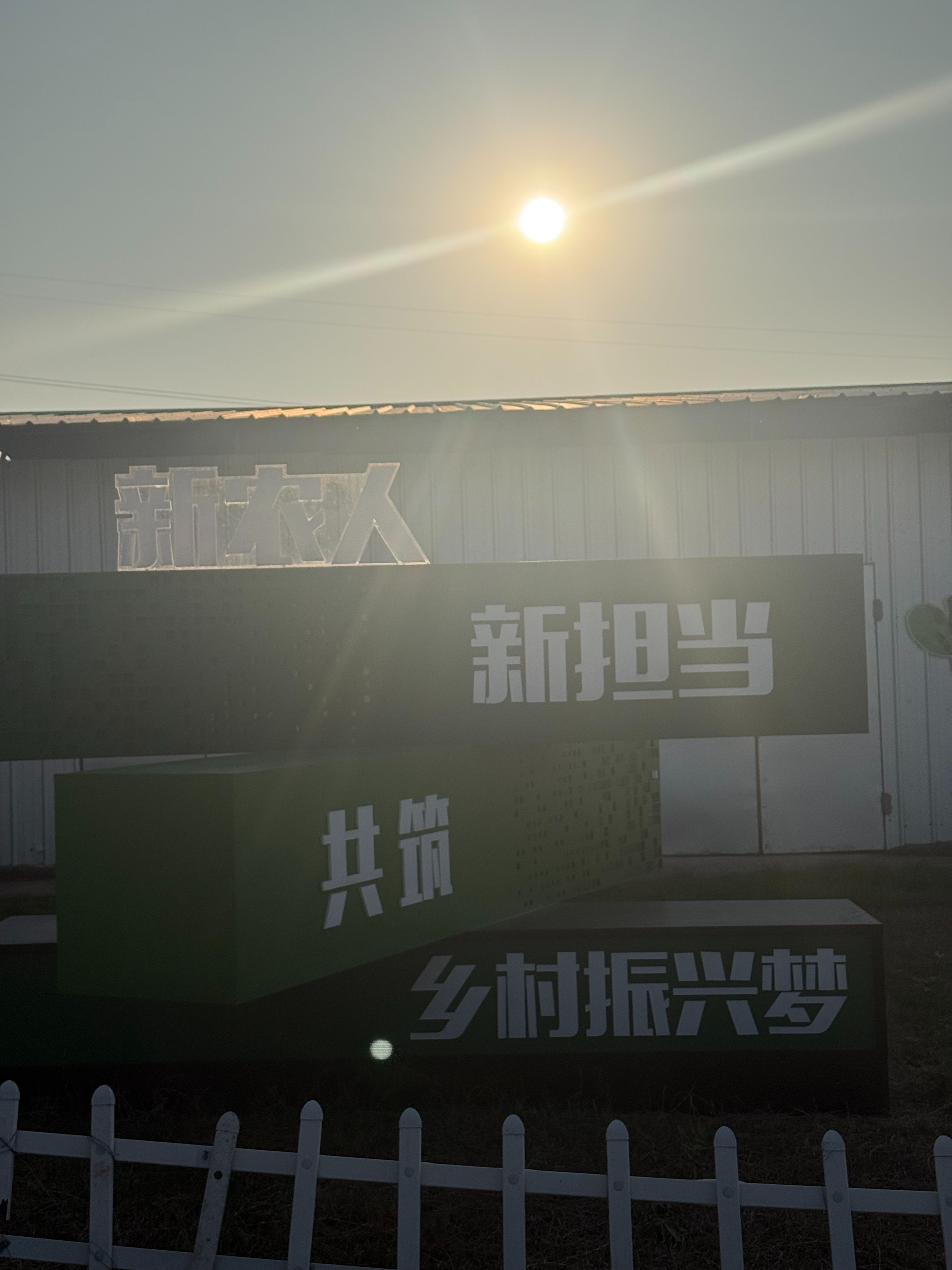 天府新农人㊸“00”后种菜班(图2)