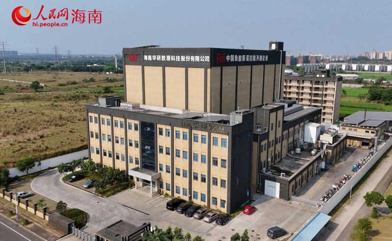 海口国家高新区:五向图强启新程锚定封关绽芳华(图2)