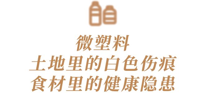 实力回乡丨拒绝微塑料侵蚀土壤一心回乡坚决守护餐桌纯净(图3)