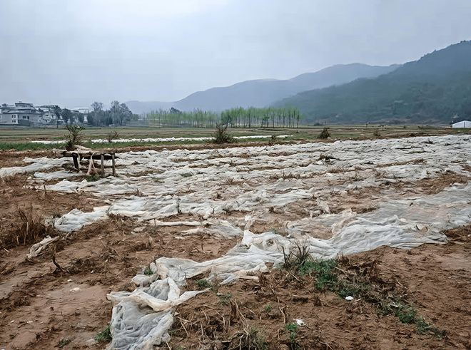 实力回乡丨拒绝微塑料侵蚀土壤一心回乡坚决守护餐桌纯净(图5)