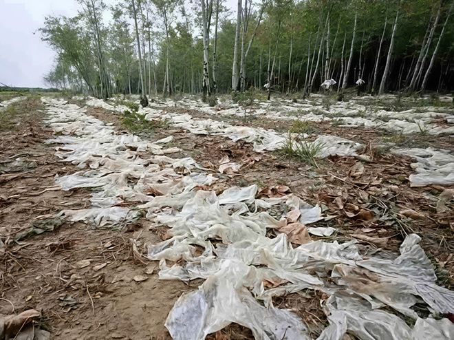 实力回乡丨拒绝微塑料侵蚀土壤一心回乡坚决守护餐桌纯净(图4)