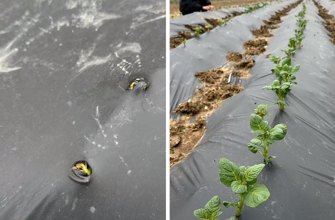 实力回乡丨拒绝微塑料侵蚀土壤一心回乡坚决守护餐桌纯净(图11)